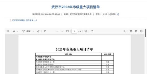 奇怪!市级重大项目清单里